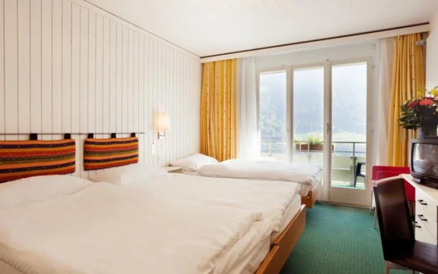 Hotel Alpina