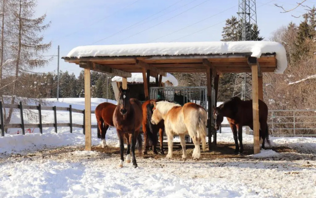 Pechhof
