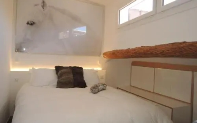 Beautiful & Confortable Apartment