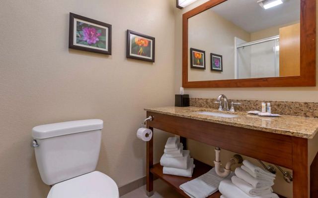 Comfort Suites Boone - University Area
