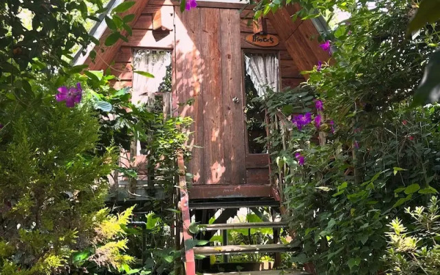September Garden