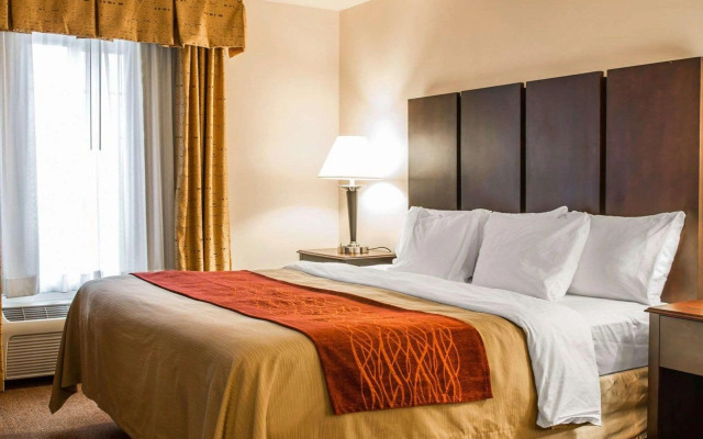 Comfort Inn & Suites Fenton