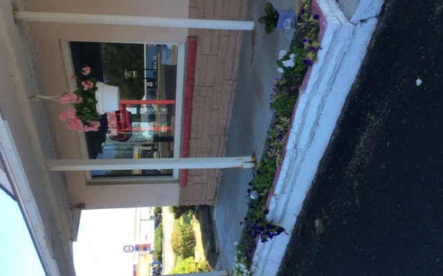 Palace Inn Motel