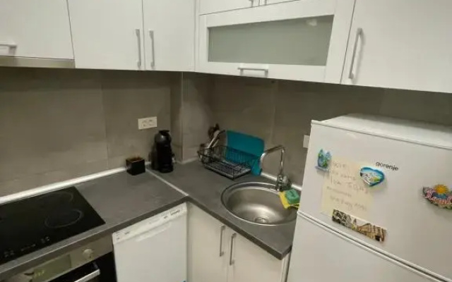 Neva Apartment