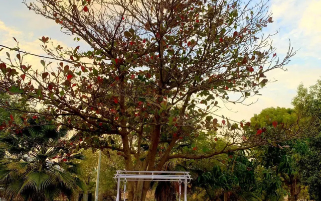 Farmstay By Manrup Bagh