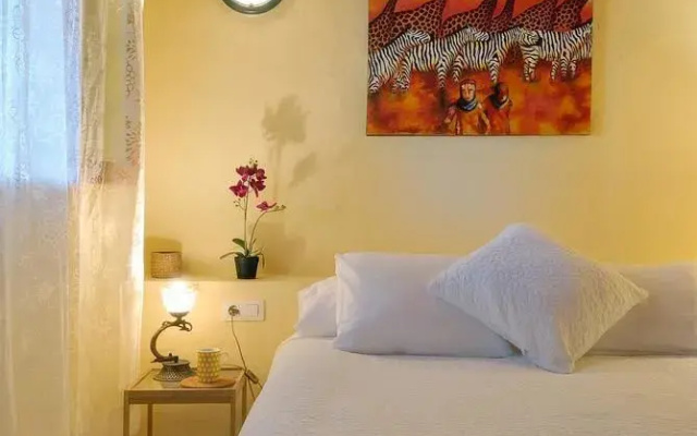 Apartament Caracola