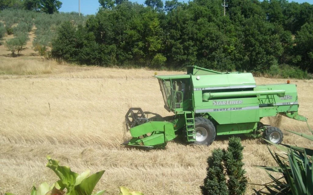 Fattoria Del Quondam