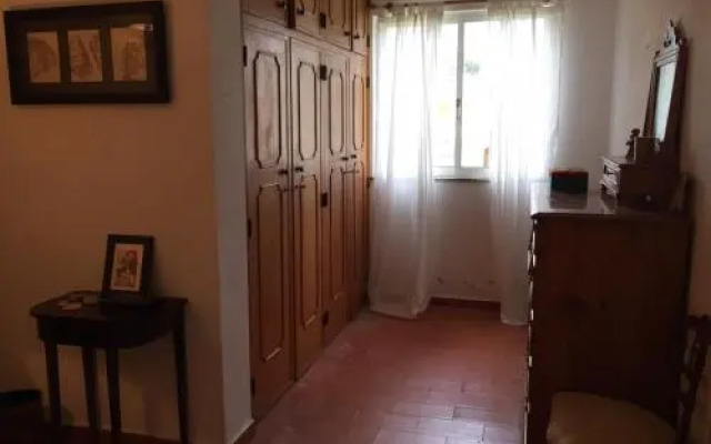 Orange Tree Villa
