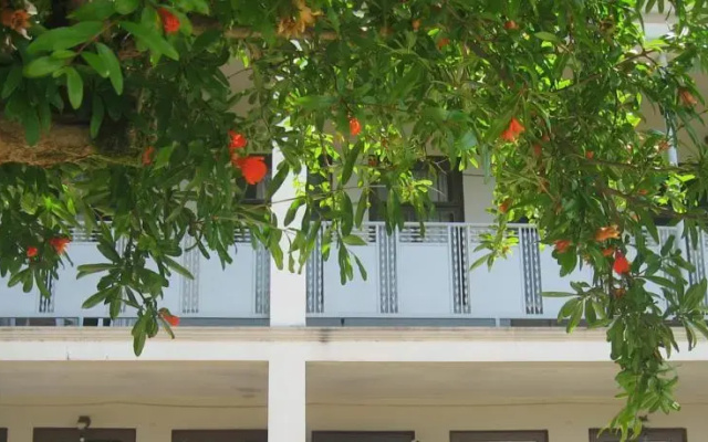 Guest House on Tamar Mephe 14