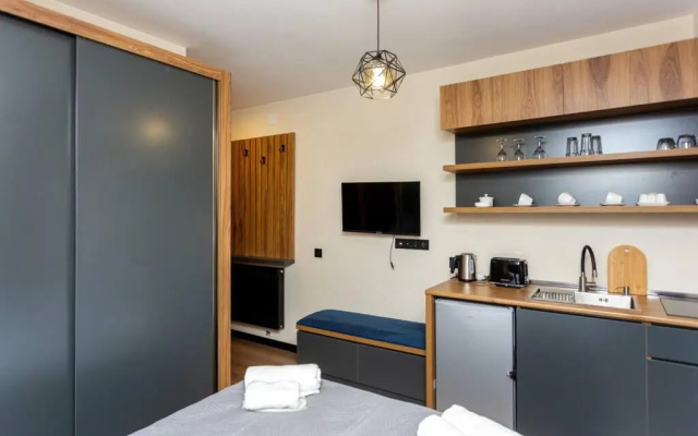 Cozy Studio Apartment in Marshall Gudauri Project