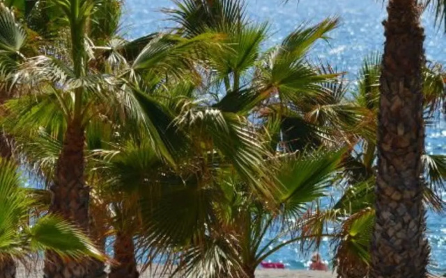 106216 - Apartment in Vera Playa