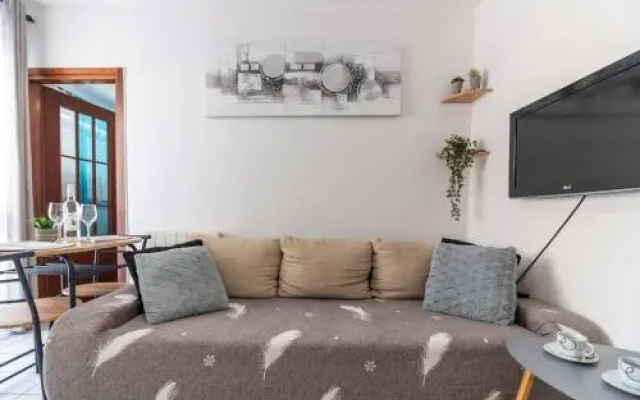 Apartment Viki