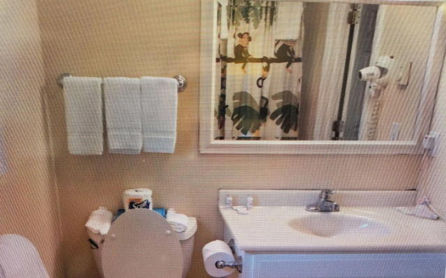 Sea Haven Resort Motel