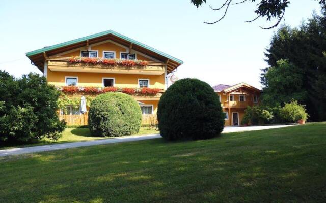 Отель Gasthof Pension David Пух-Халлайн вид на фасад