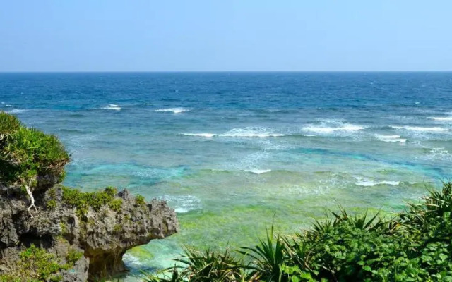 wisteria ocean Nakijin