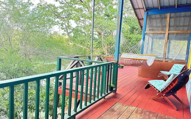 Howler Jungle House