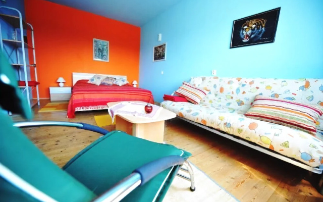 Apartment Asja