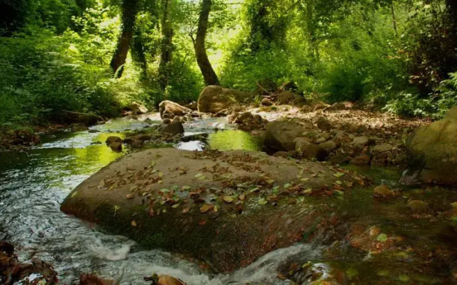 Il Giardino