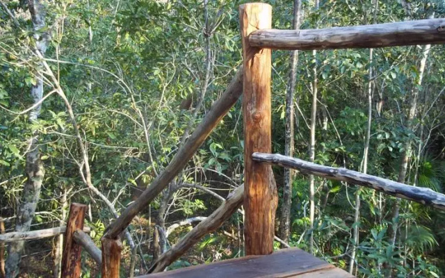 Treetop Palapa