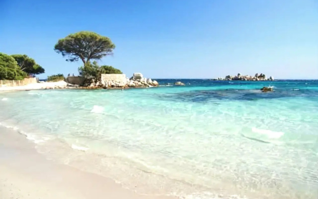 Bergerie 1 - Trinidado OF Porto Vecchio - Quiet - 3