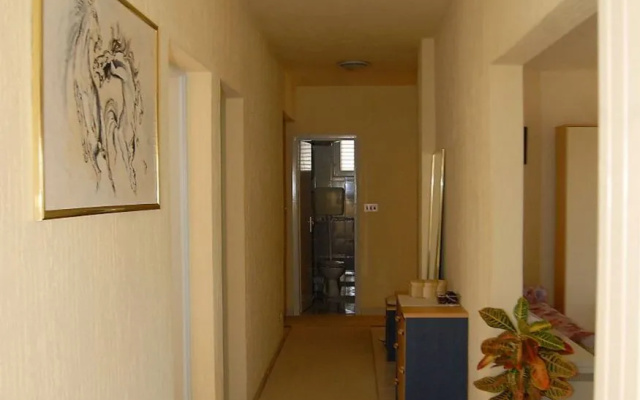 Apartment Ante - with large terrace : A1 Primosten, Riviera Sibenik