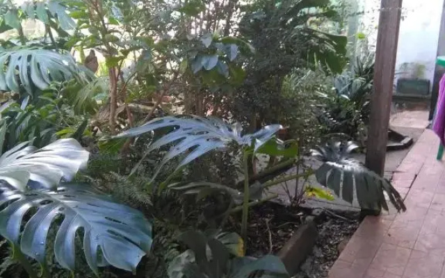 La Casa de Teresa