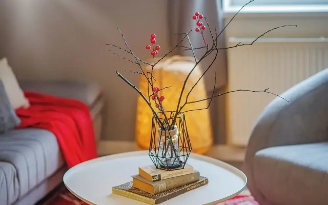 HB apartments Merab Kostava