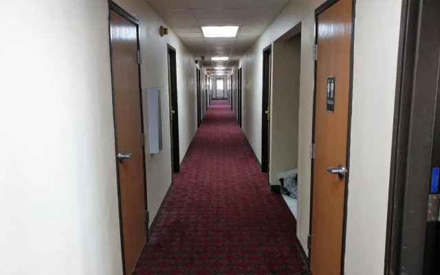 Red Carpet Inn Windom