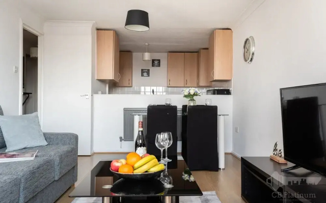Platinum Apartments near Chancery Lane