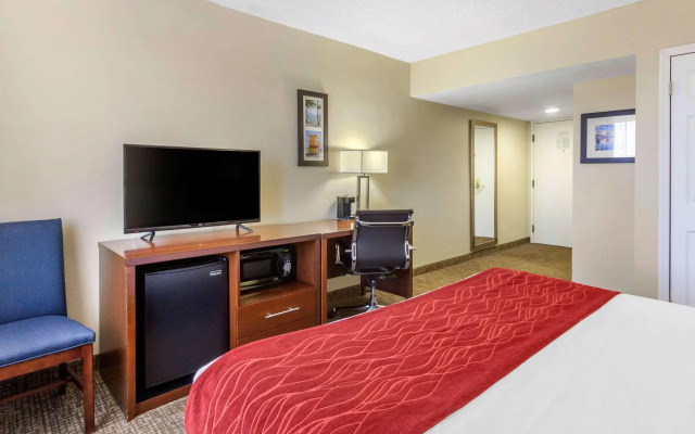 Comfort Inn St Petersburg North