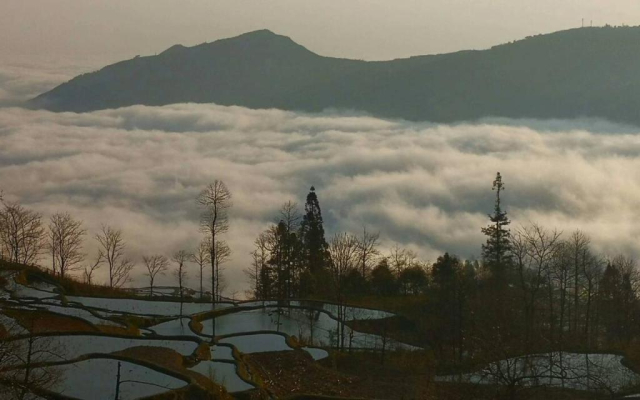 多依湾客栈Havre de Paix Duoyiwan