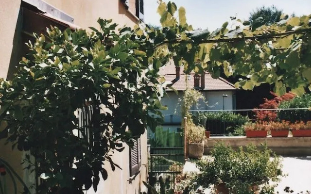 Il Giuggiolo