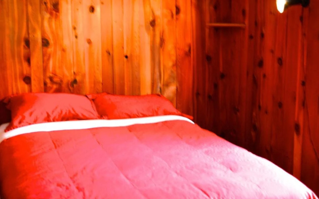 Red Shutter Cabin