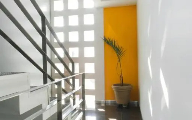 Terraza 10