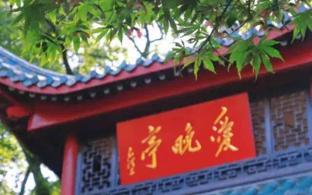 Qiu Homestay (Wuyi Square IFS International Financial Center)