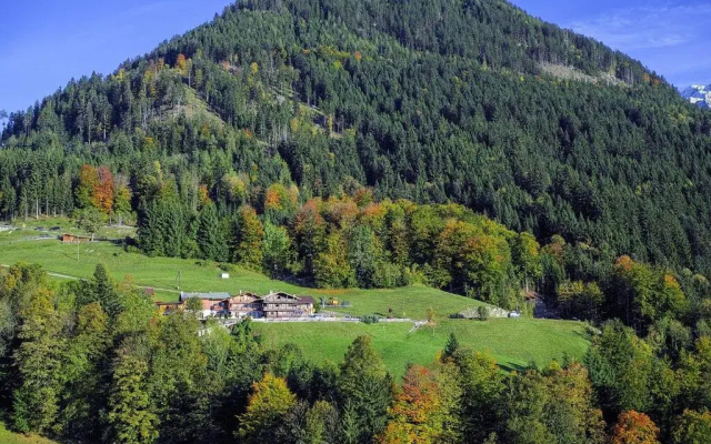 Alpengasthof Hochlenzer