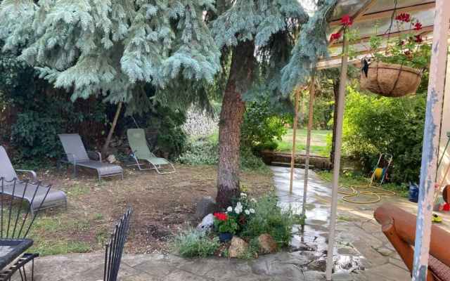 Apartment Kisvolgy