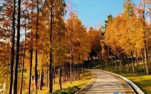 Taishan Xinfuhua Homestay