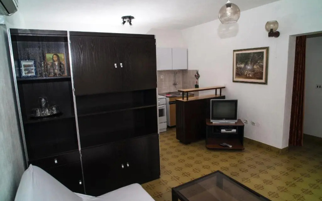 Apartment Šalov
