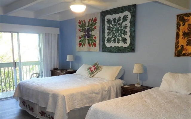 Puamana 9C Condo