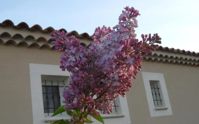 Les Lilas des Chênes