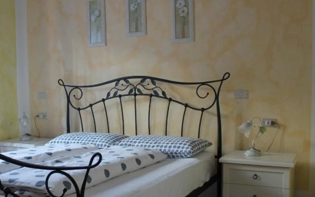 B&B Campino