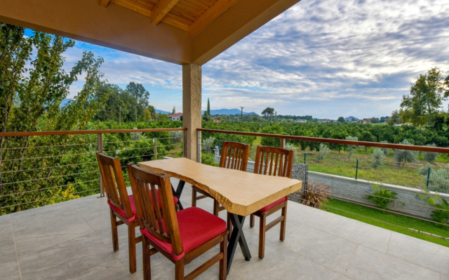 Volans Suites