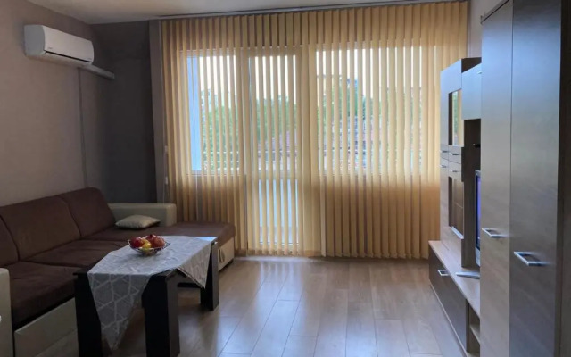 Tyulev apartment 2