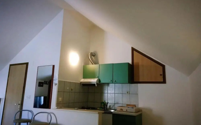 Apartment and Room Silvana