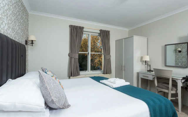 Dog & Bear Hotel