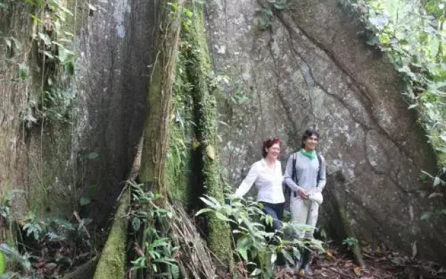 Green forest Ecolodge