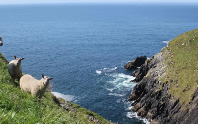 Dingle Bay View