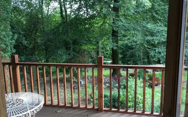 Woodland Views