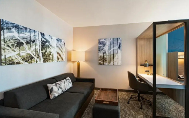 SpringHill Suites by Marriott Dallas Richardson/University Area